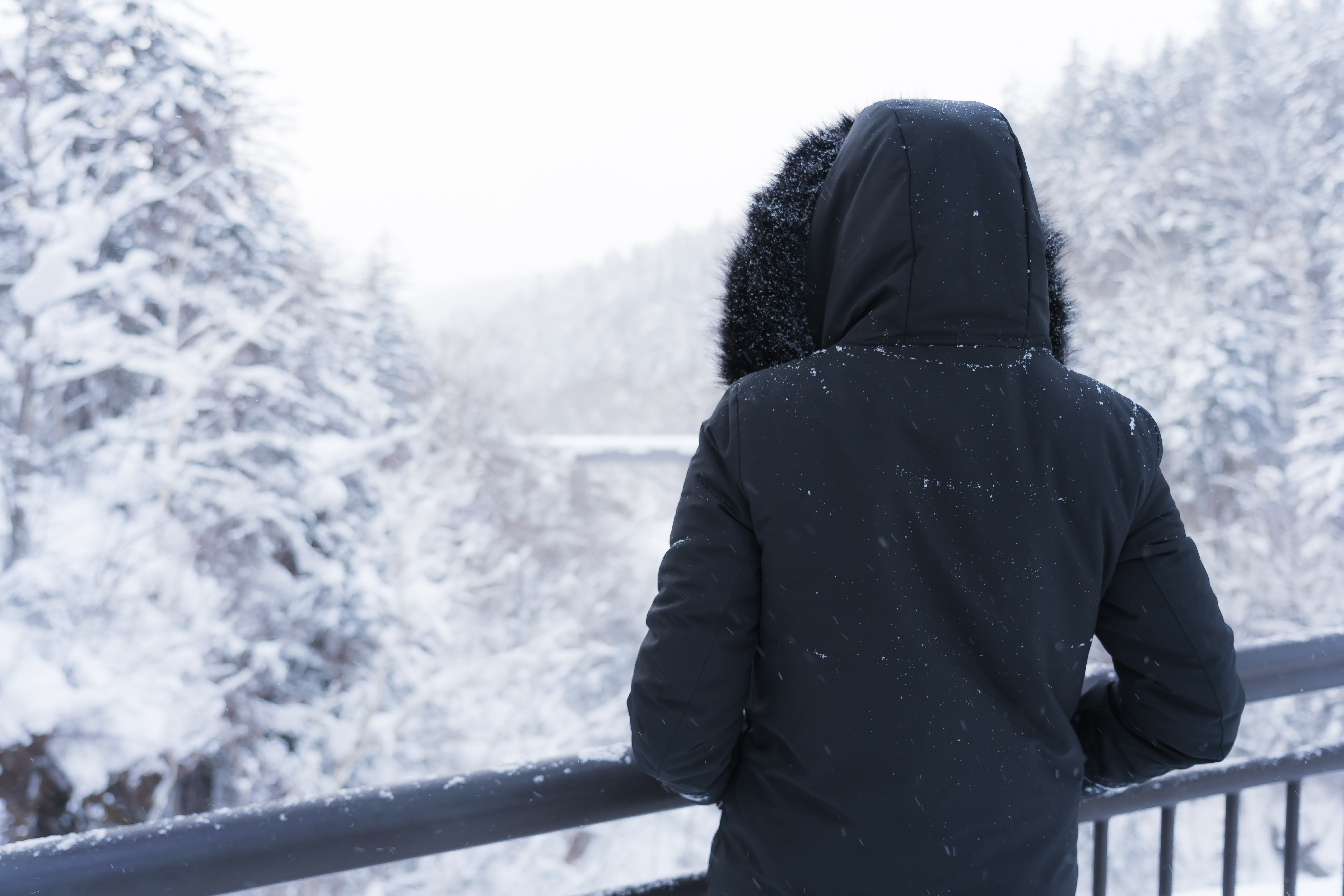 이번 겨울 날씨 전망, 겨울에 좋은 음식