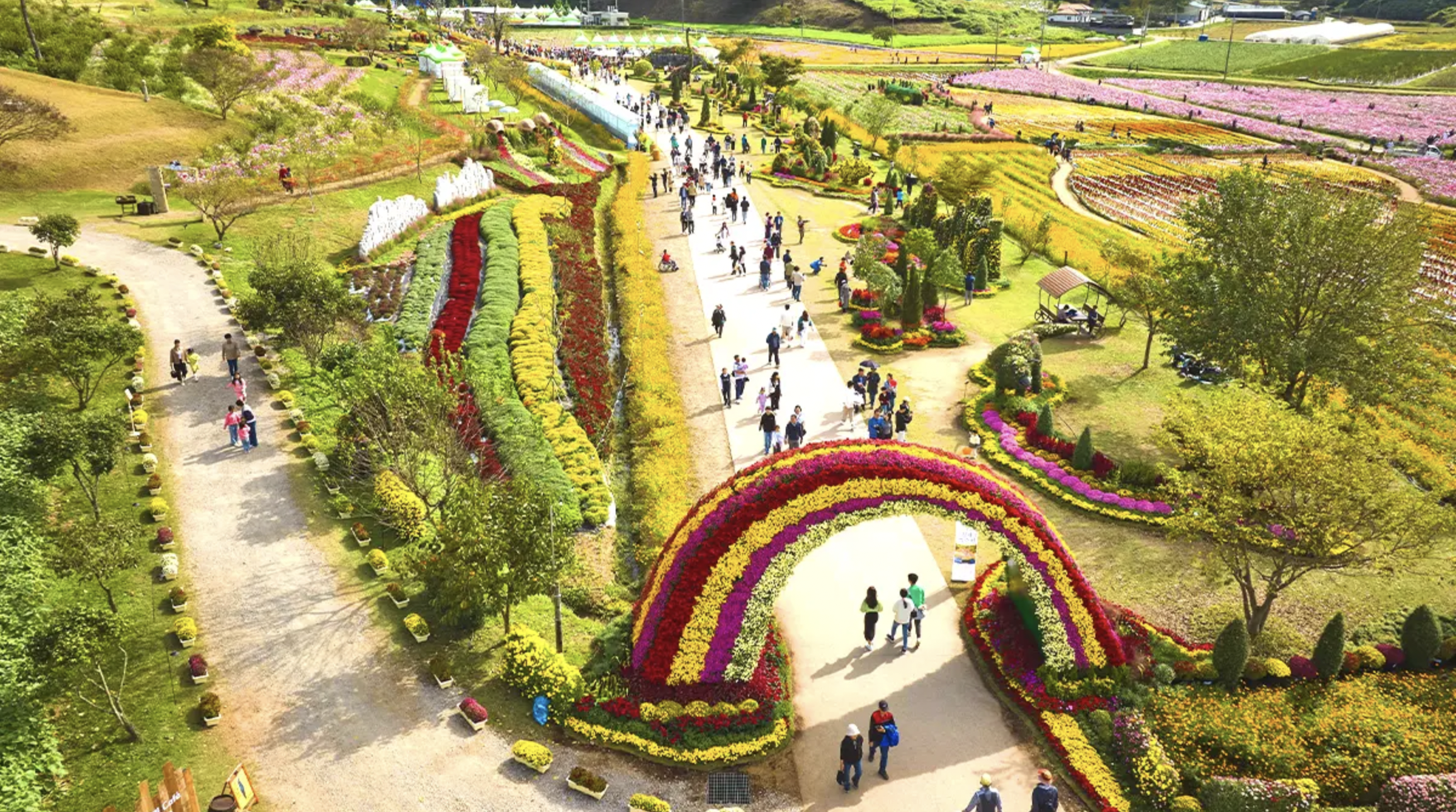 2024 화순 고인돌 가을꽃 축제 / 사진=화순군청