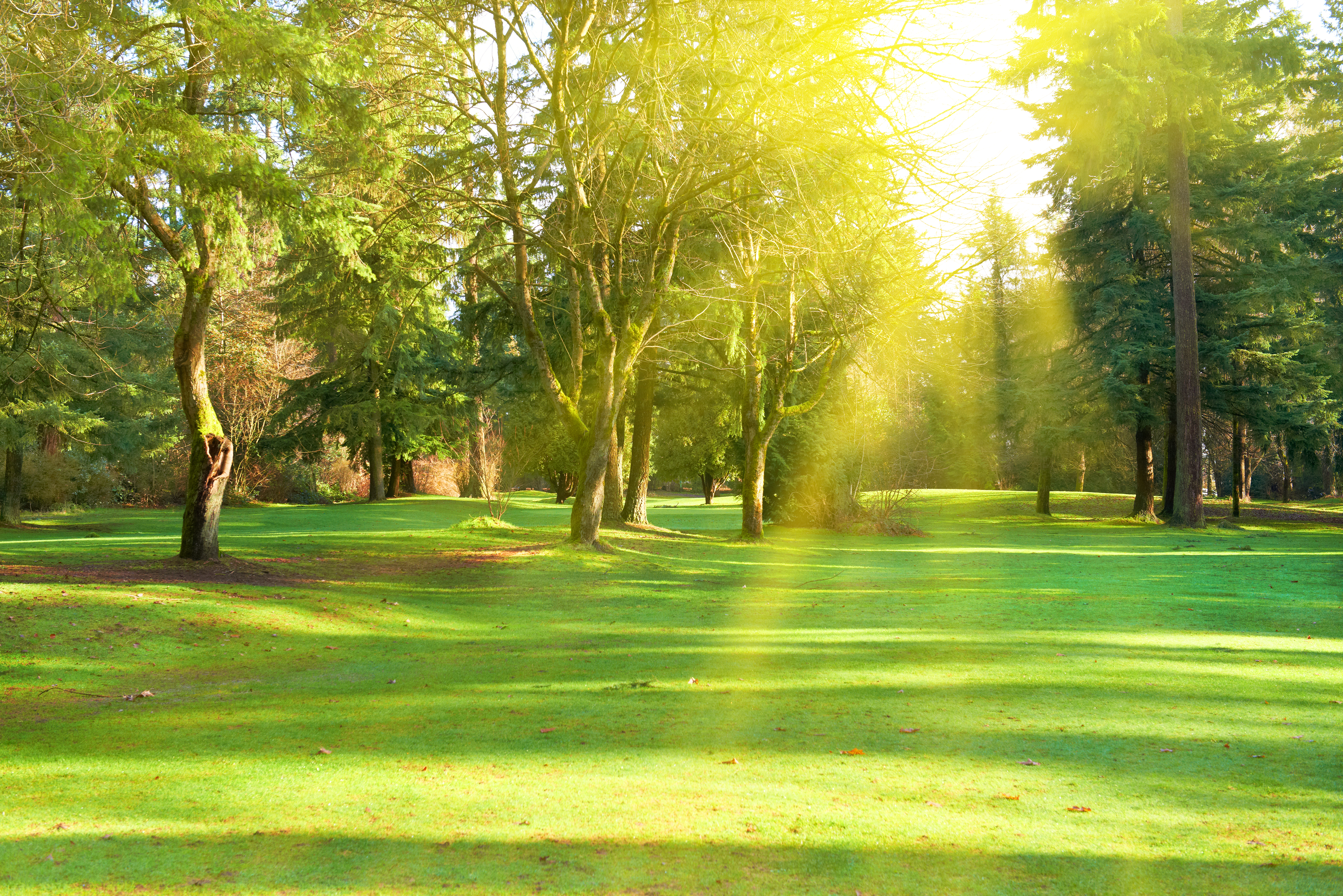 곡성군, '매일 만나는 소아과' 상시 진료