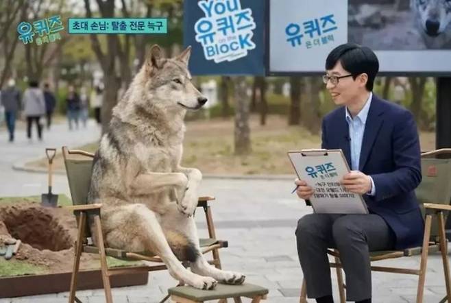 늑구, 대전오월드, 성심당, 성심당상품권, 고향사랑기부제, 위기브, 답례품, 답례품추천